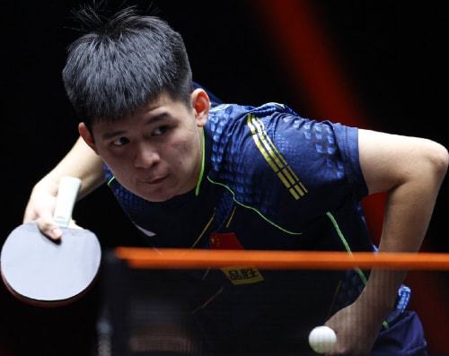 捍卫了国乒 捍卫了国乒