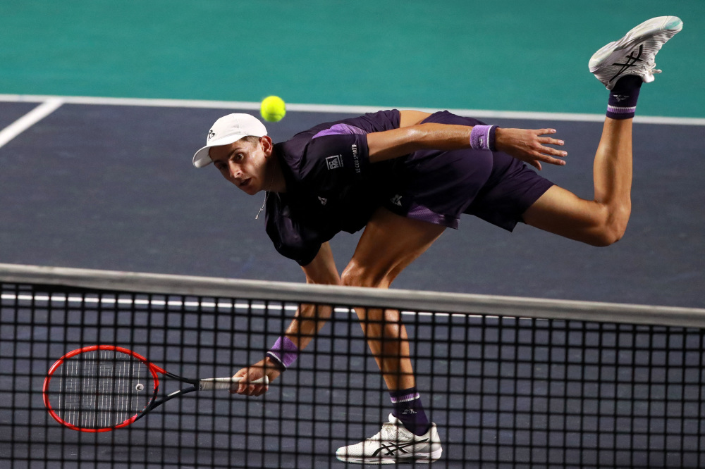 不无相似之 不无相似之