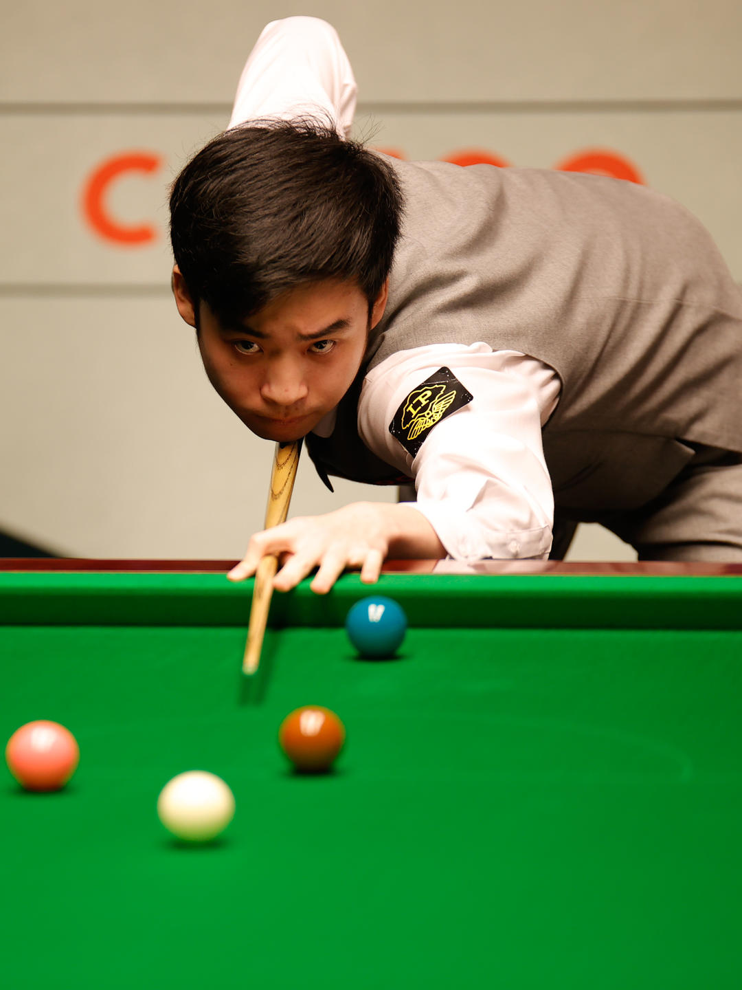 的便是王钰 的便是王钰