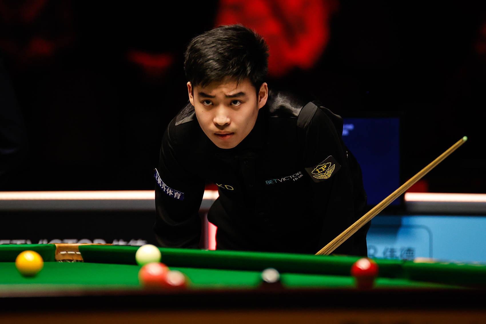 疑是对他们 疑是对他们