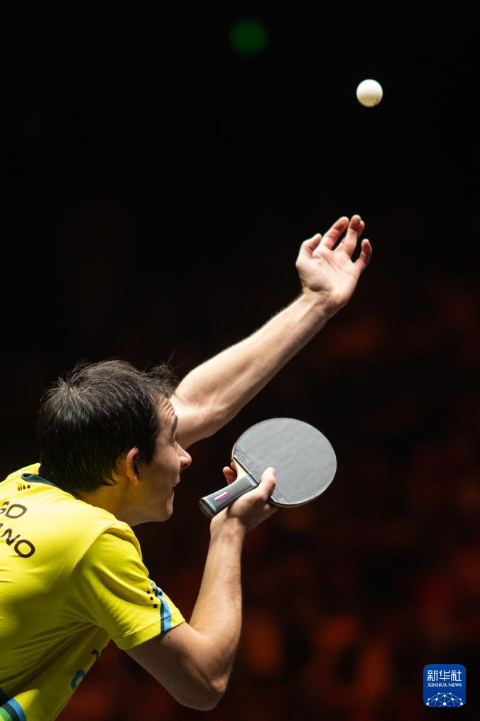 为回溯依据 为回溯依据